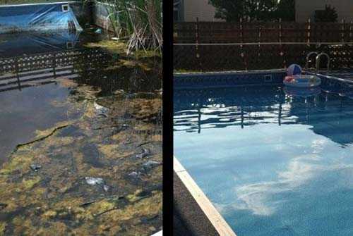 wood pool image